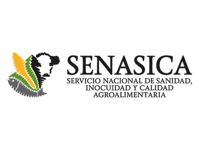 sale of ripe avocado