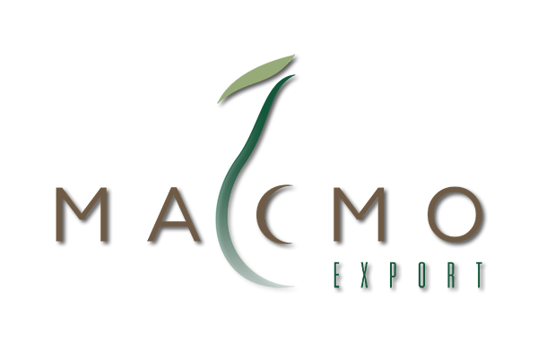 Mexican Avocados Exporters