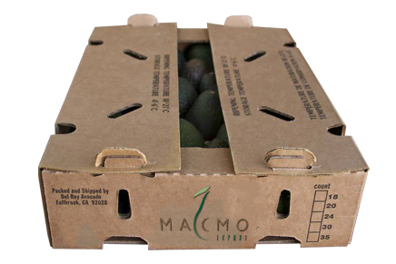 Hass Avocado exporter for Usa Hass Avocado exporter for Usa