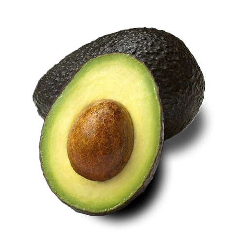 Mexican Avocado Exporters