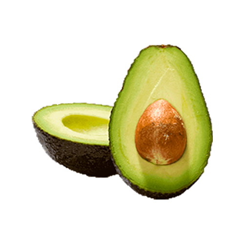 hass avocado exporters for Arab Emirates United